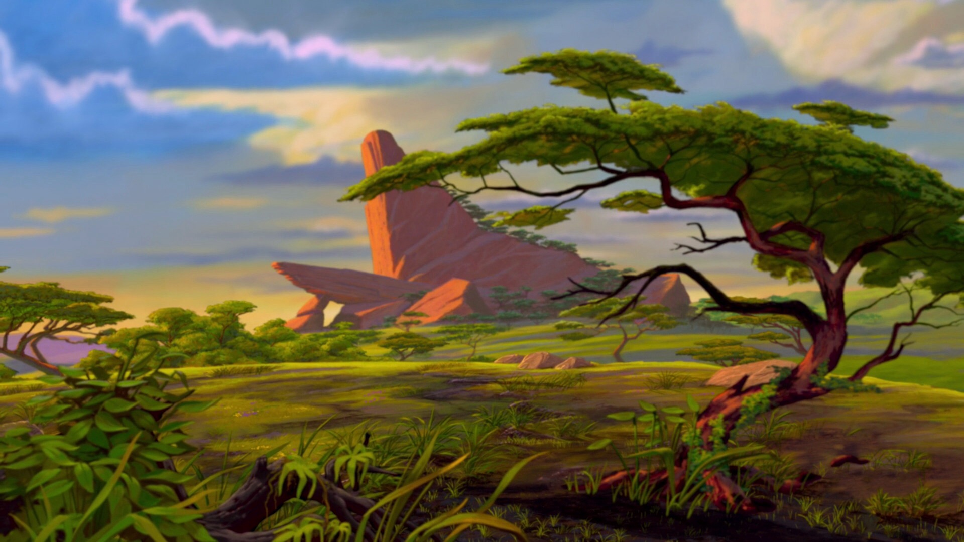 Where Homo naledi was found?