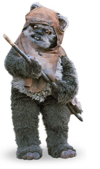 Wicket W. Warrick | Disney Wiki | Fandom powered by Wikia