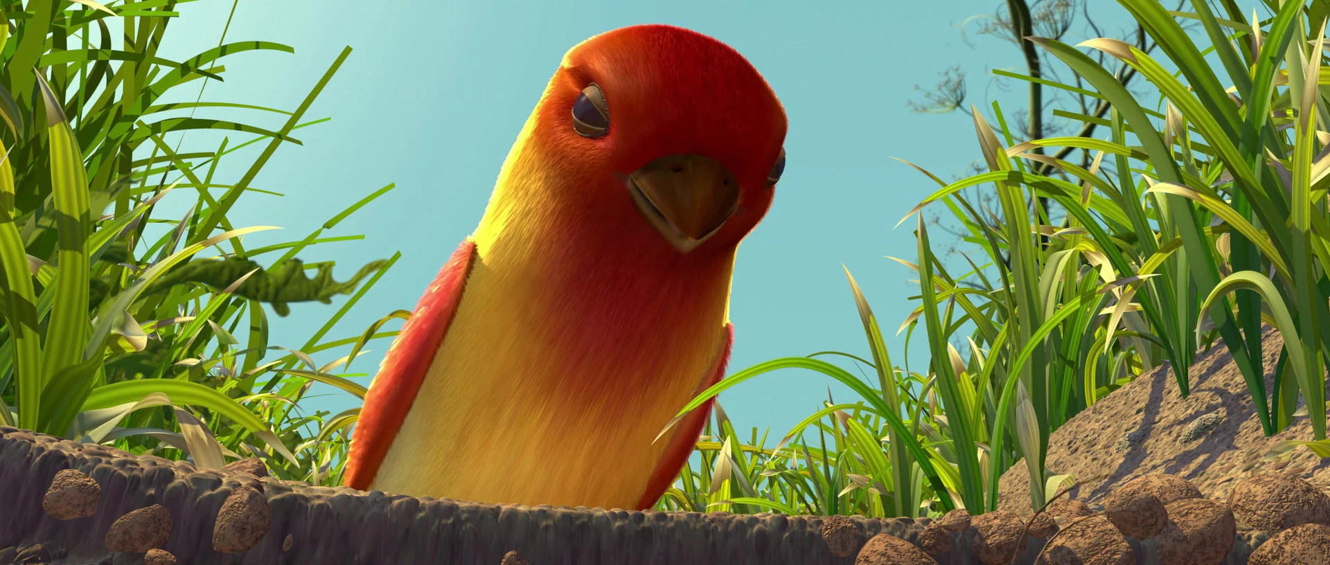 Bird | Disney Wiki | Fandom powered by Wikia