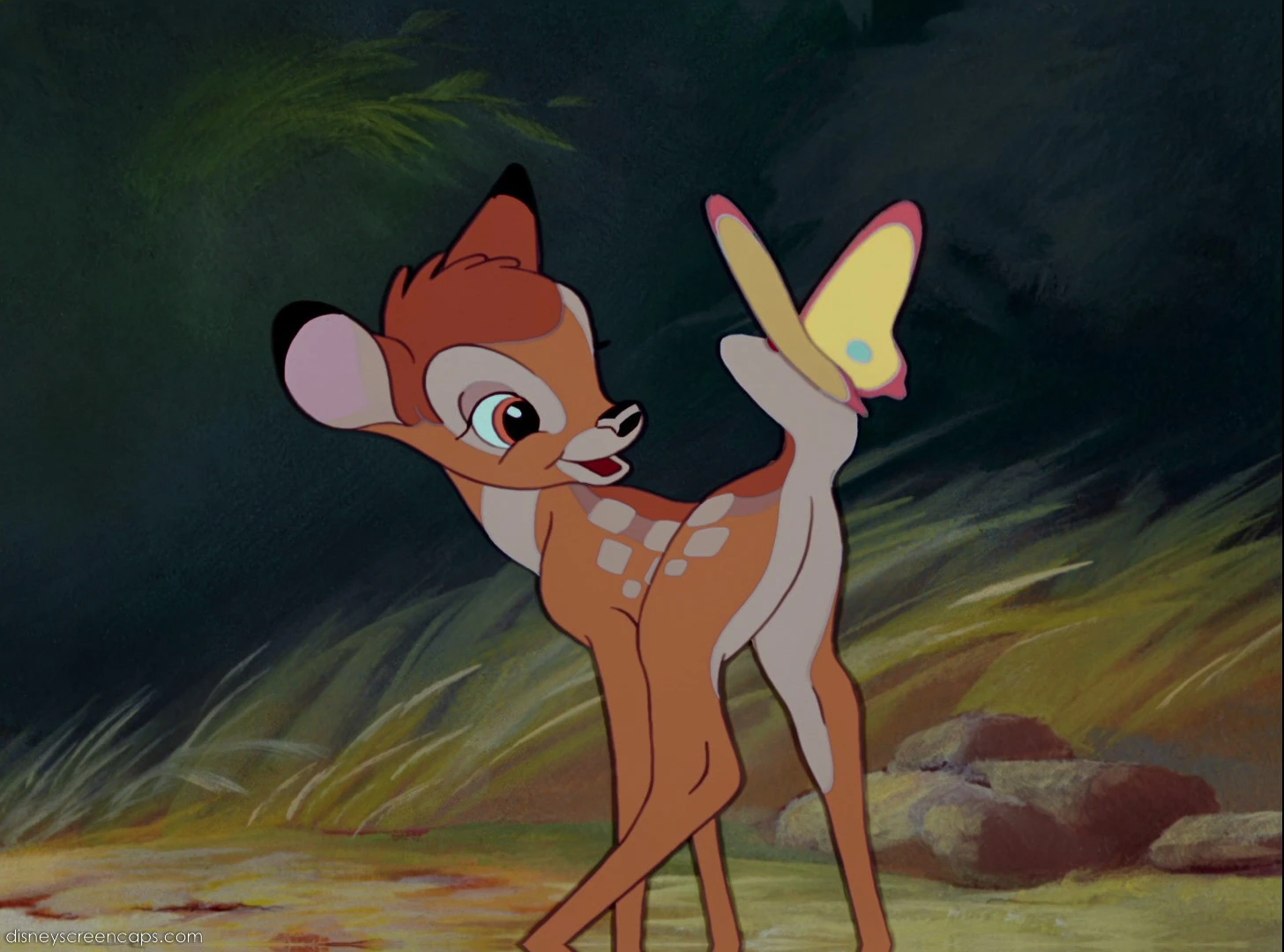 Categoría:Personajes de Bambi | Disney Wiki | Fandom powered by Wikia