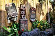 http://vignette1.wikia.nocookie.net/disney/images/f/f8/Koro.jpg/revision/latest/scale-to-width-down/180?cb=20140128221152