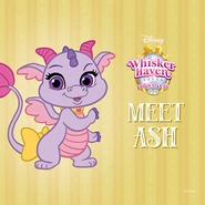 Ash | Palace Pets Wiki | Fandom powered by Wikia