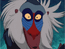 Rafiki1