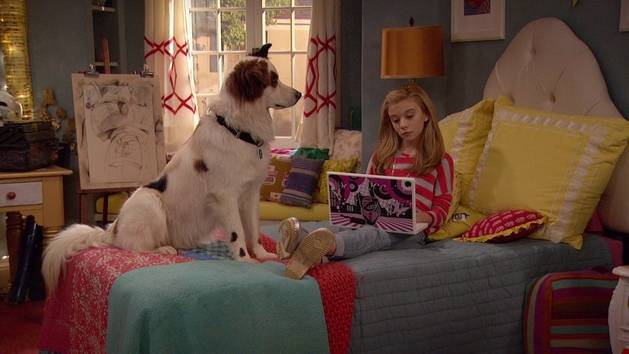 Avery�s First Breakup/Gallery Dog With A Blog Wiki