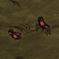 Butterfly_flying.png