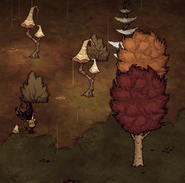Night Light Dont Starve Together Nightmare Light Don T Starve Game Wiki Fandom Powered Characters Don T Starve Game Wiki Fandom Powered By Wikia Awesome Character Mods For Don T Starve Together Hubpages The