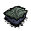 Fungus Turf Green.png