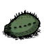 Cactus Flesh.png