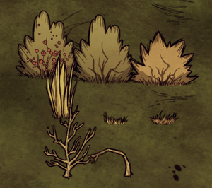 Cây sưu tập (Berry Bush, cỏ, cây con) .png