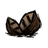 Roasted Birchnut.png