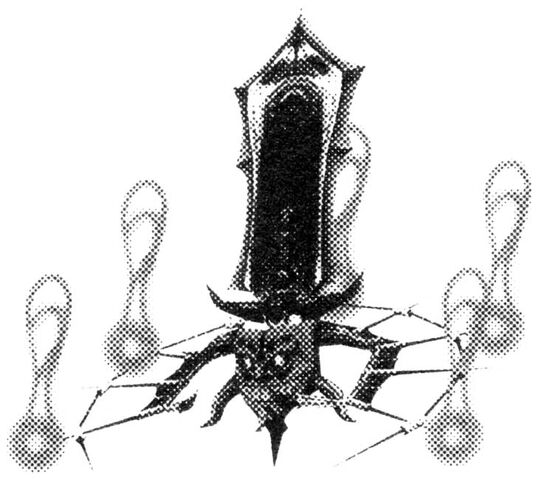 File:Zanbezel.jpg