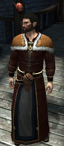dragon age origins mage robes