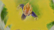 VegetaAttacks1(BoG)