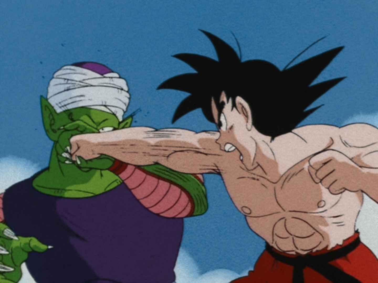 Conclusion With Piccolo Jr