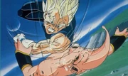 Vegetapic10