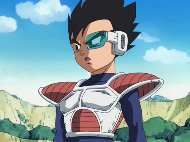 Vegeta Bruder Vegeta Bruder
