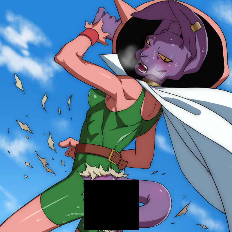 The Adventures Of Beerus And Whis Space Dragonball Fanon Wiki Fandom Powered By Wikia