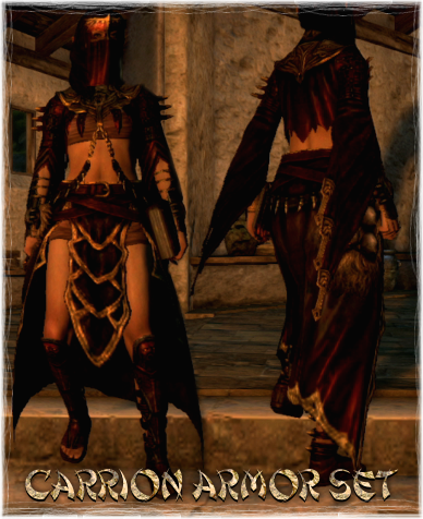 Carrion Armor Set | Dragon's Dogma Wiki | Fandom powered by Wikia