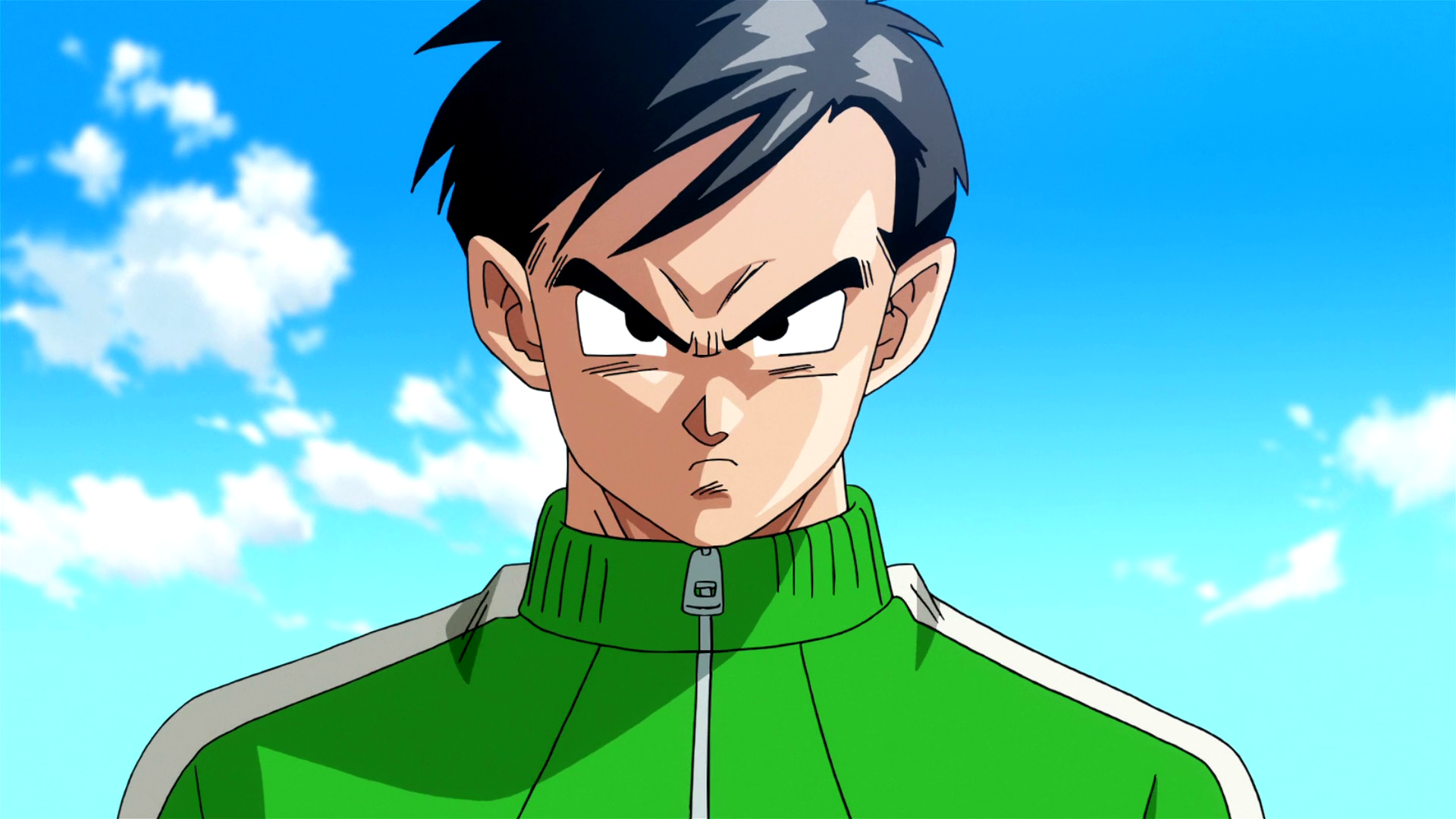 Son Gohan Dragon Universe Wikia Fandom powered by Wikia