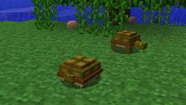 Turtlehiding