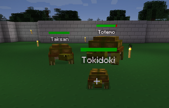 Turtles