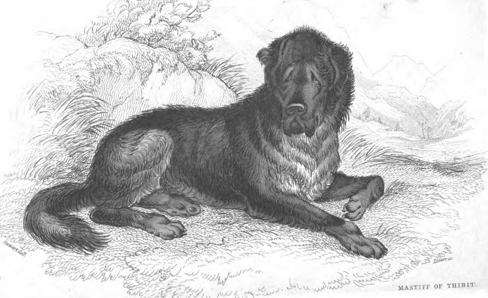 war dogs wiki war dungeons and dragons wiki fandom powered by wikia war dogs wiki war dungeons and dragons wiki fandom powered by wikia