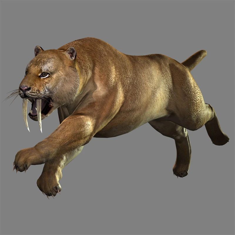 Image Sabertoothed Cat (DW8 DLC).jpg Koei Wiki FANDOM powered by