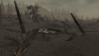 Red Mountain Eruption Result
