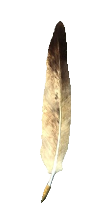перо png картинки перо png картинки
