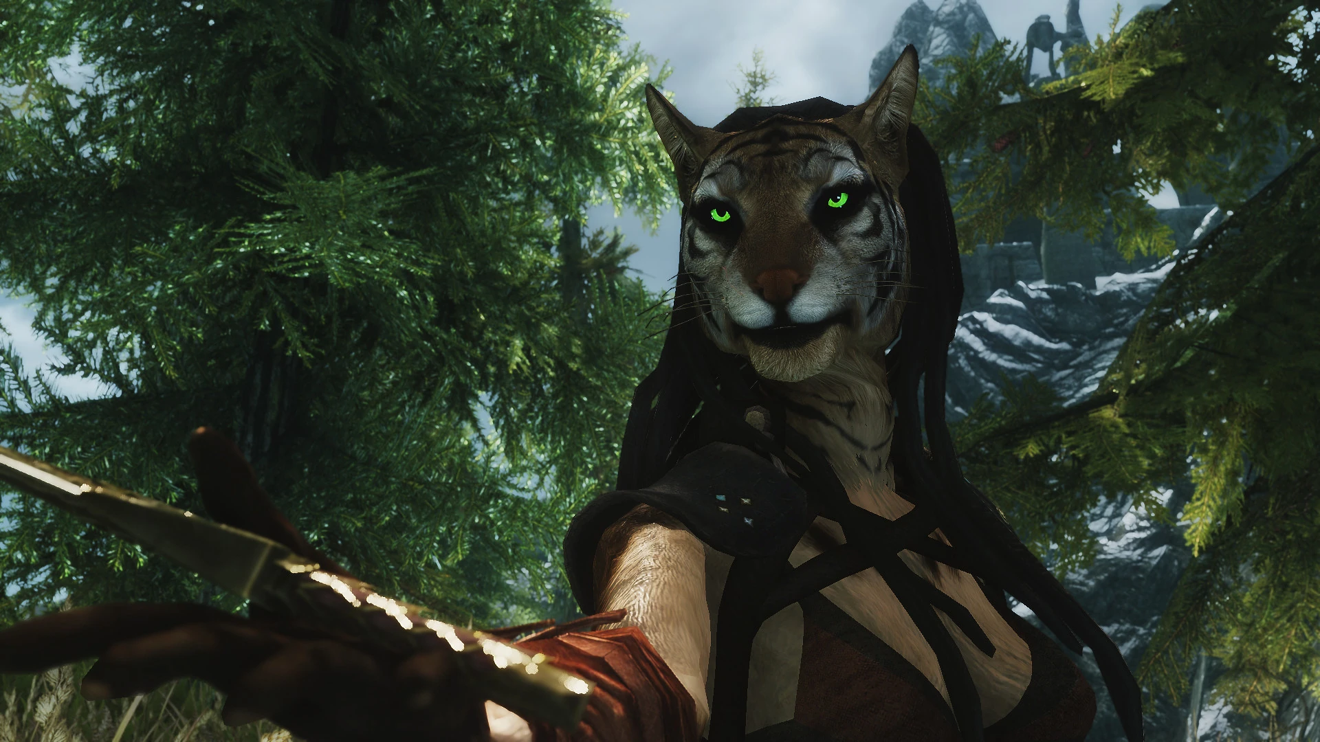 Khajiita Elder Scrolls FANDOM powered by Wikia