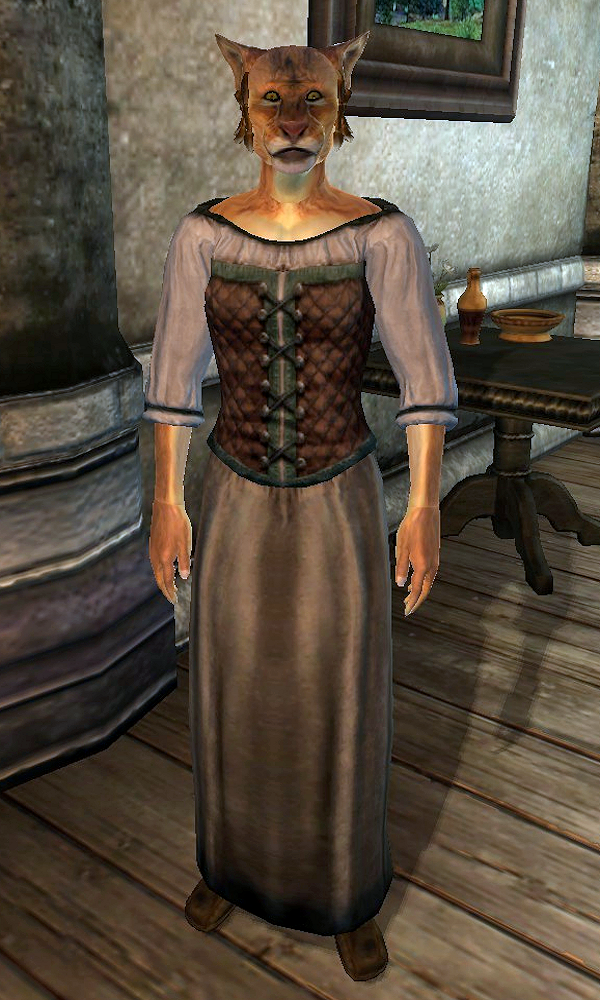 oblivion character overhaul khajiit oblivion character overhaul khajiit