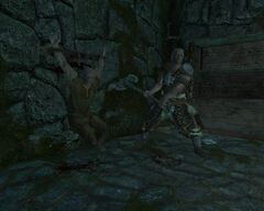 Прохождение Квеста Без Вести Пропавший Skyrim Прохождение Квеста Без Вести Пропавший Skyrim