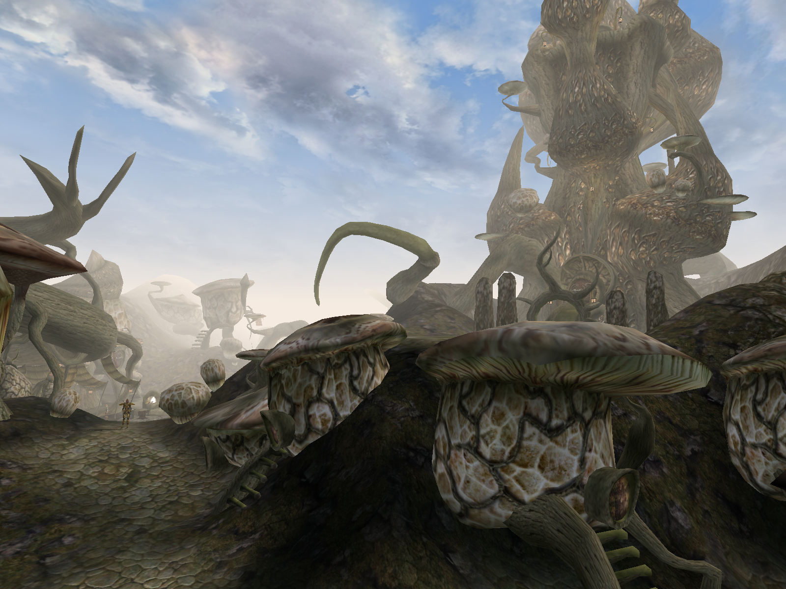 Sadrith Mora (Morrowind) Elder Scrolls FANDOM powered by Wikia