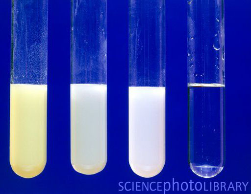 Physical Properties Of Aqueous Lead Nitrate Physical Properties Of Aqueous Lead Nitrate
