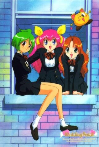 File:Wedding-Peach.jpg