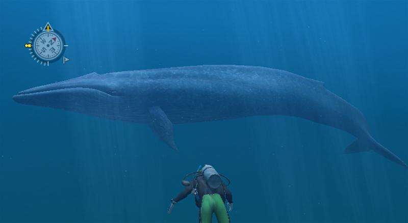 endless ocean wiki