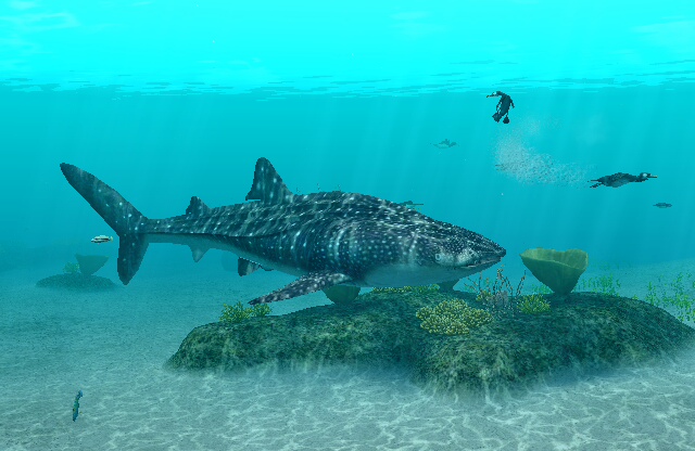 endless ocean wiki atoll endless ocean wiki atoll