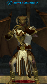 Zorv the Soulsnarer