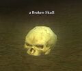 A Broken Skull.jpg