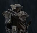 Avatar of Justice