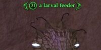 A larval feeder