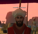 Magic Carpet