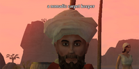 Magic Carpet