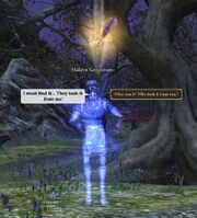 Maldyn Greenburn
