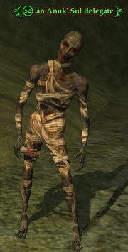 An Anuk' Sul delegate
