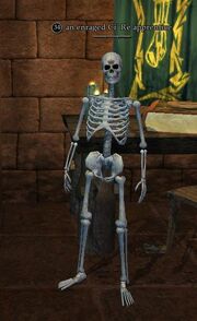An enraged Ci'Re apprentice