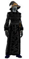 Barrister's Robe (Visible).jpg
