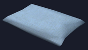 Damask pillow (Visible)
