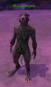 A wandering vermin