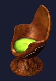 Chair of the Acorn Scholar (Visible)